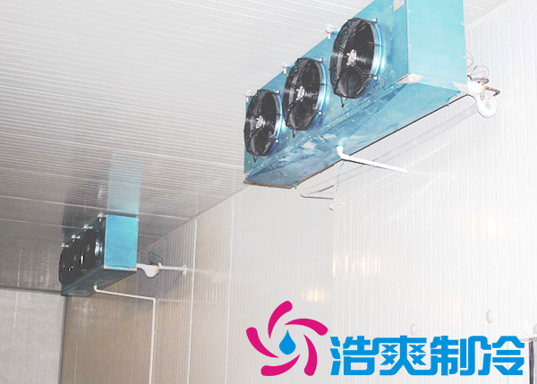 建造安裝5000㎡雞排低溫冷藏庫造價費用是多少？