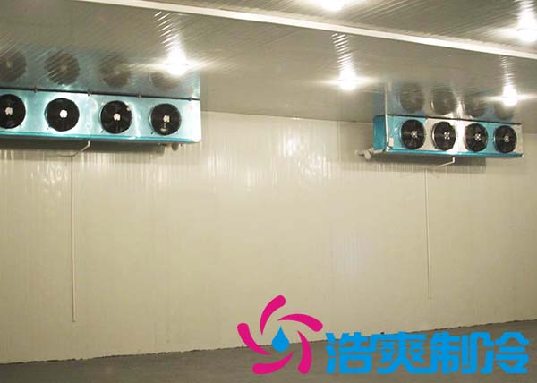 建造一個(gè)農(nóng)貿(mào)市場(chǎng)冷庫造價(jià)大概多少費(fèi)用？