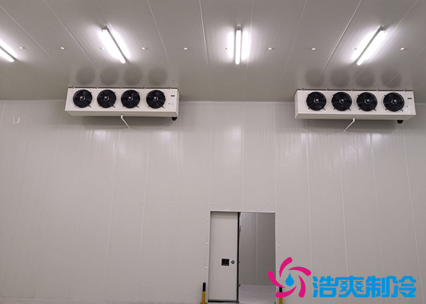 建造一個(gè)冰淇淋冷庫造價(jià)需要多少錢？