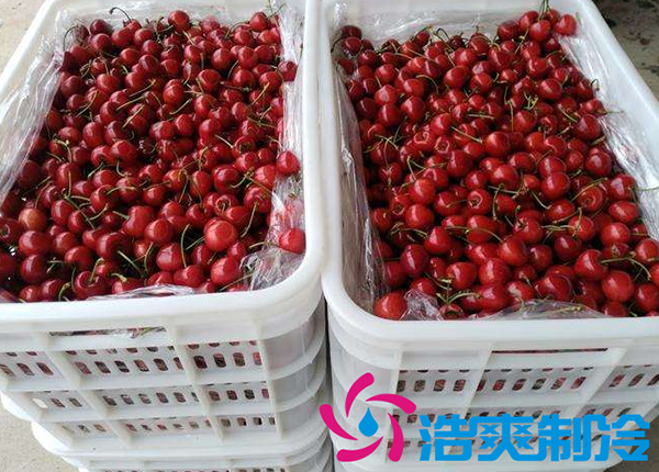 櫻桃氣調(diào)建造完成后有哪些儲(chǔ)存方法和步驟？_浩爽制冷