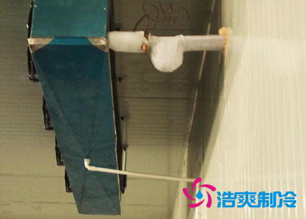 建造大型農(nóng)產(chǎn)品基地冷庫造價需要投資多少費用？
