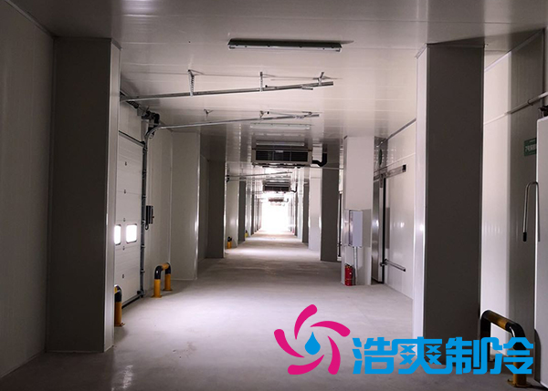 建造一間800立方米種子研究中心冷庫安裝造價多少錢？
