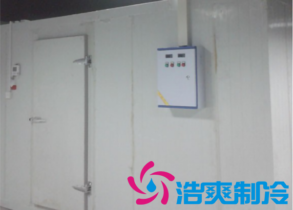 安裝一個(gè)冷藏庫(kù)造價(jià)大約多少錢一平方？_浩爽制冷