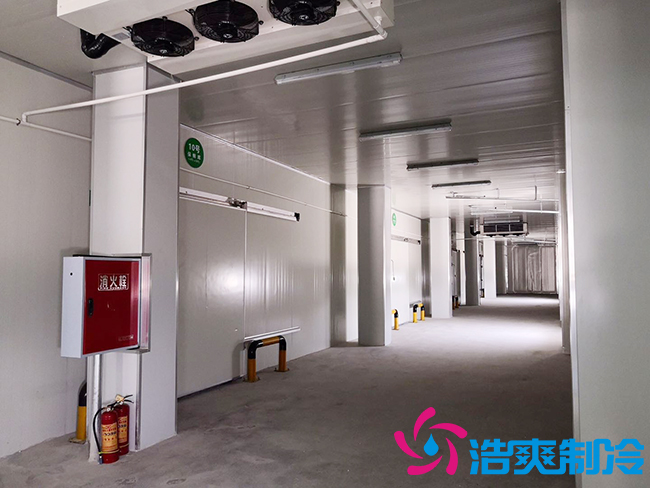 芭蕉氣調(diào)保鮮庫安裝如何確保果實(shí)的長期儲存？_浩爽制冷