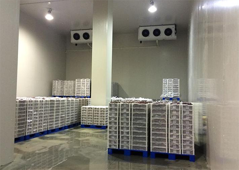 建造安裝1000㎡冷庫造價大概需要多少費用？_浩爽制冷