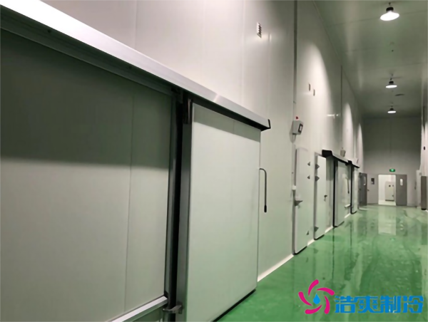 新鮮檳榔如何通過建造檳榔凍庫有效儲存？_浩爽制冷