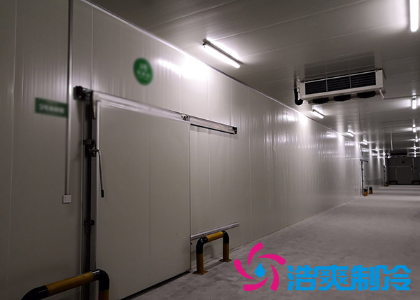 新鮮檳榔如何通過建造檳榔凍庫有效儲存？_浩爽制冷