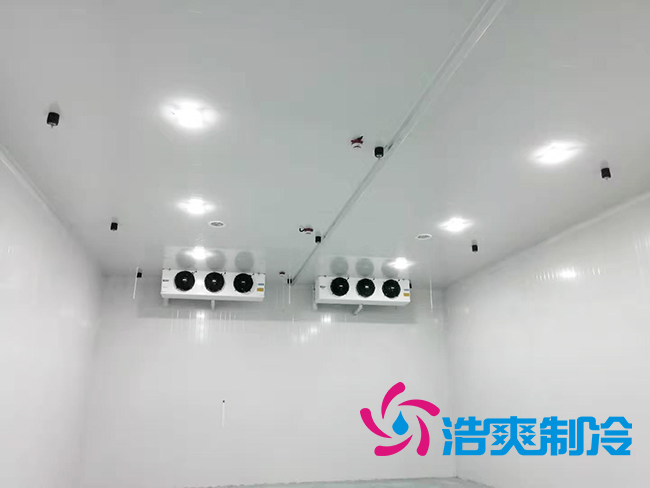 超低溫凍庫(kù)建設(shè)價(jià)格與哪些因素有關(guān)？_浩爽制冷