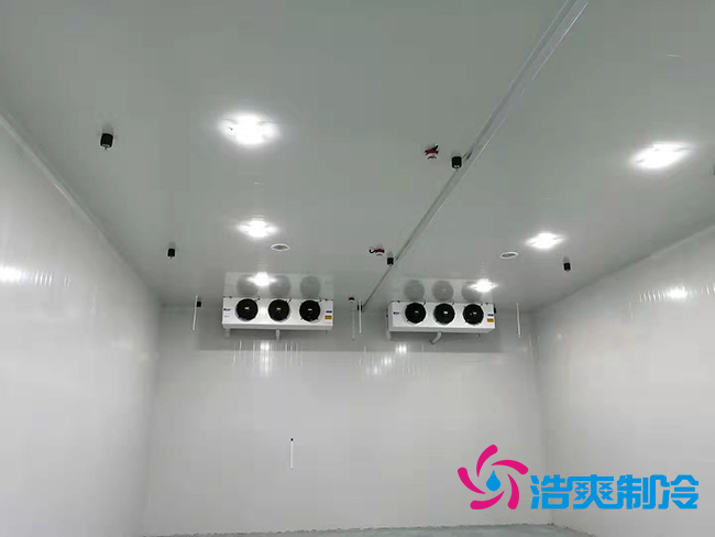 超低溫凍庫(kù)建設(shè)價(jià)格與哪些因素有關(guān)？_浩爽制冷