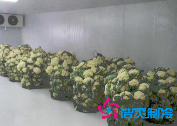 云南500平米氣調(diào)冷庫安裝造價(jià)大概是多少？_浩爽制冷