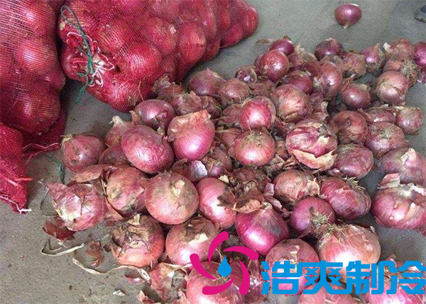 建一個(gè)洋蔥保鮮庫要多少錢呢？_浩爽制冷