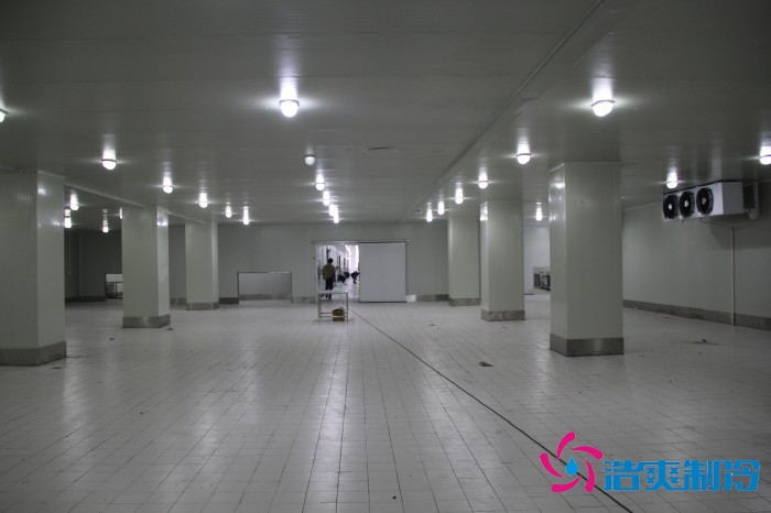 江蘇通達1500㎡農(nóng)產(chǎn)品低溫冷藏冷凍庫建造