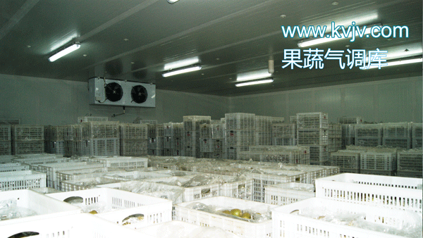 衢州蜜之源果業(yè)氣調(diào)保鮮冷庫(kù)建造工程 衢州蜜之源果業(yè)氣調(diào)保鮮冷庫(kù)建造工程