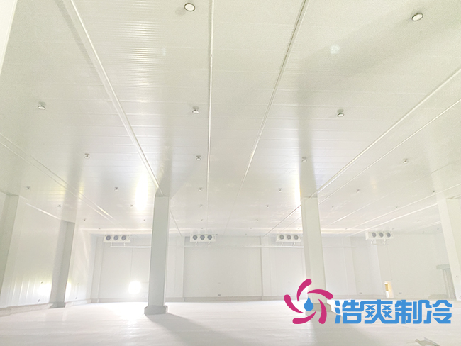 冷庫(kù)安裝前需要清楚了解哪些基本信息？_浩爽制冷
