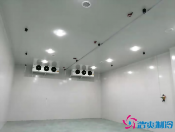 調(diào)味料冷庫溫度需求，建一個食品調(diào)味料冷庫多少錢？_浩爽制冷