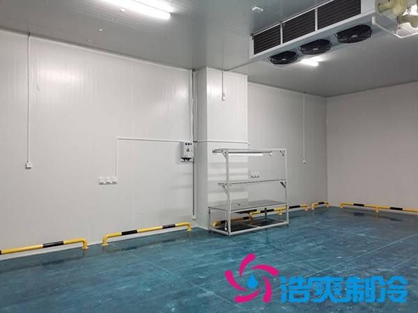 建一個(gè)1000平米蔬菜恒溫庫(kù)成本多少錢(qián)？_浩爽制冷