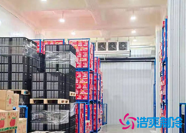 水果冷庫(kù)保鮮庫(kù)建造價(jià)格是多少錢？-浩爽制冷