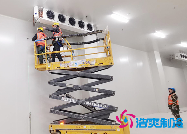 蔬菜種植基地建造600立方米保鮮冷庫(kù)大概需要多少錢？-浩爽制冷