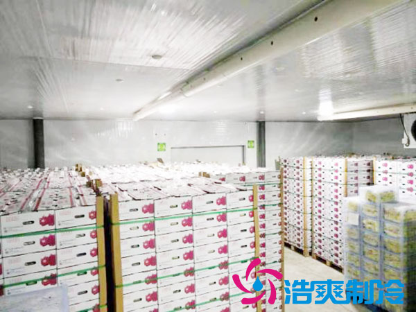 建造一個(gè)火龍果冷庫要花多少錢？-浩爽制冷