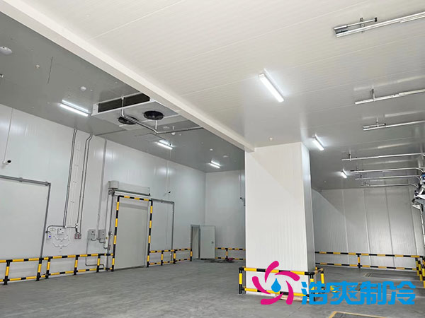 建一個(gè)2000平方米的大型冷庫需多少錢？-浩爽制冷