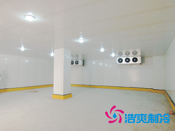 50噸果蔬氣調(diào)庫預(yù)算造價多少錢？-浩爽制冷
