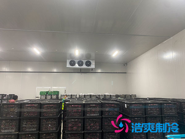 嘉定雞蛋冷庫(kù)安裝建造多少錢？-浩爽制冷