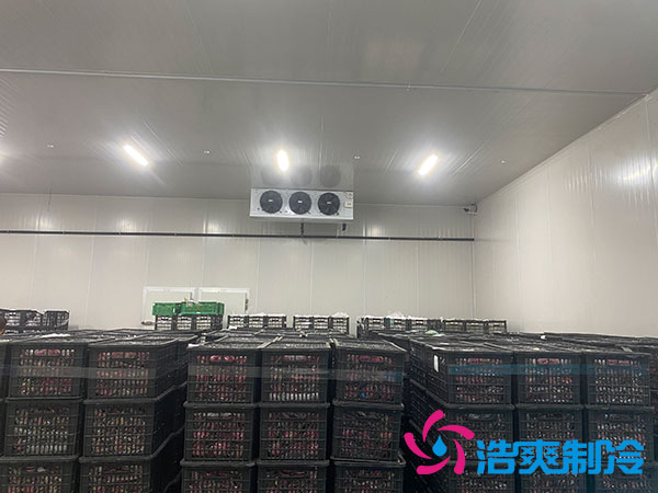 中型冷庫安裝造價多少錢？中型冷庫造價表-浩爽制冷