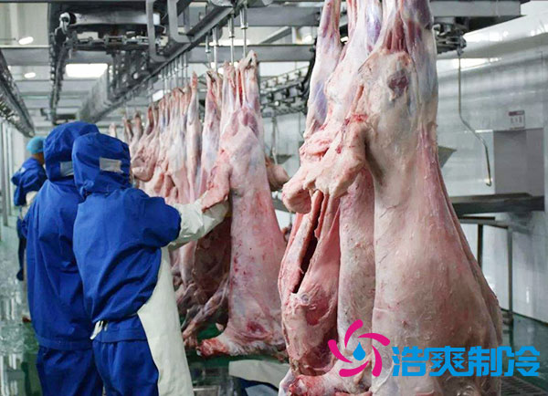 排酸冷庫安裝價錢多少錢？-浩爽制冷