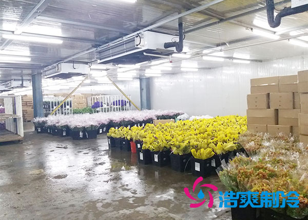 做個鮮花冷庫要多少錢？-浩爽制冷
