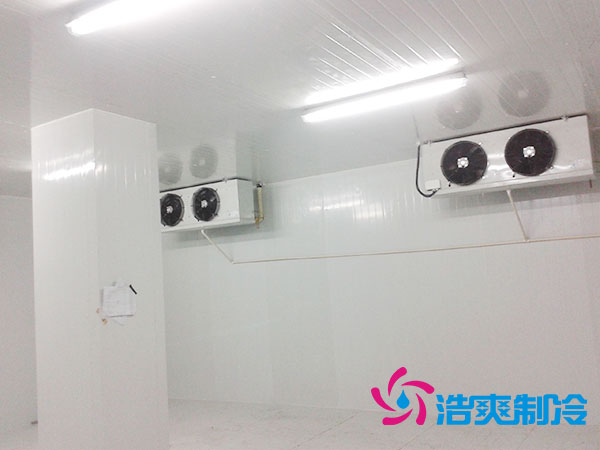 佛山雪糕冷凍庫價格多少錢？-浩爽制冷