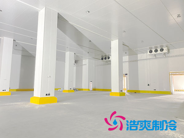 湖南蔬菜物流冷庫(kù)造價(jià)安裝費(fèi)用多少錢？-浩爽制冷