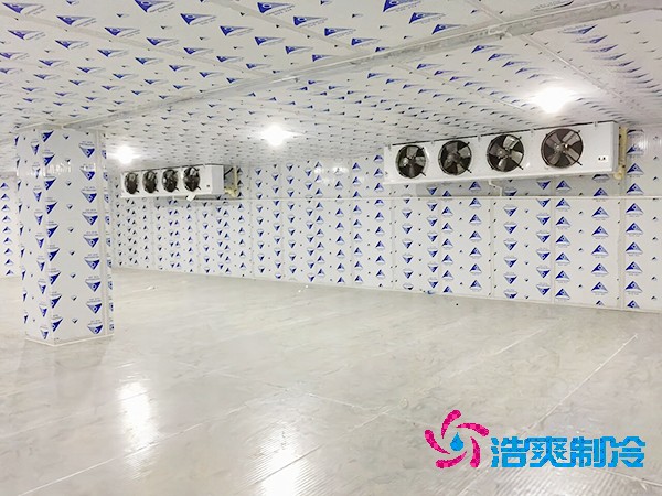 建造一個(gè)餐飲雙溫冷庫(kù)造價(jià)成本需要多少資金？