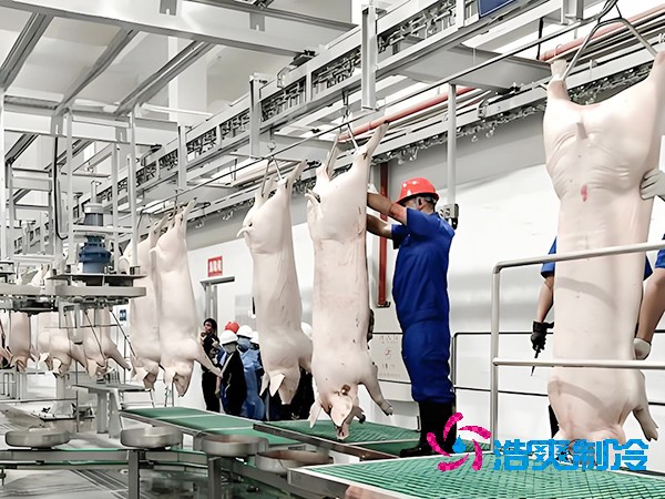 屠宰場冷庫工程造價預(yù)算