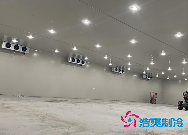 -18℃凍肉能放半年？揭秘食品冷庫造價秘密！-浩爽制冷
